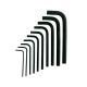 Husky SAE Short Arm Hex Key Set (10-Piece) HSAHKS10PCN-06