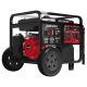 Durostar 13000-Watt Push Button Start Dual Fuel Gas and Propane Powered Portable Generator with CO Shutdown Sensor 50Amp Outlet DS13000MX