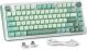 REDRAGON - Wireless Mechanical Gaming Keyboard with Gasket Mounted, RGB Backlit 81 Keys, 75% Layout, Hot-Swappable - Dark green/Light green