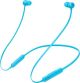 Beats Flex Wireless Earphones - Flame Blue