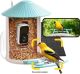 BIRDFY - Smart Wild Bird Feeder w/HD Camera, Solar Power, and AI Enabled Bird Recognition - Blue and White