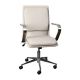 Alamont Home - Designer Executive Swivel Office Chair with Arms - Taupe/Chrome
