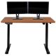 Alamont Home - Tanner Rectangle Modern Engineered Wood Home Office Desk - Mahogany