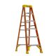 Werner 6 ft. Fiberglass Step Ladder (10 ft. Reach Height) with 300 lb. Load Capacity Type IA Duty Rating NXT1A06