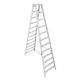 Werner 12 ft. Aluminum Twin Step Ladder with 375 lb. Load Capacity Type IAA Duty Rating T412