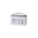 LEOCH (12-Volt 100 Ah) Non Spillable SLA Battery for Ryobi Riding Lawn Mower
