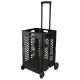 PACK-N-ROLL 17 in. W Mesh Rolling Utility Cart