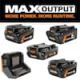 RIDGID 18V Lithium-Ion MAX Output 6.0 Ah, 4.0 Ah, and 2.0 Ah Batteries, Charger, and Free MAX Output 8.0 Ah Battery AC9302460SB-AC840080