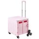 VEVOR Foldable Utility Cart, 150 lbs. Capacity Collapsible Portable Crate Rolling Cart with Stair Climbing Wheels BXSPLCFS176L2ECQCV0