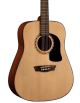 Washburn - Apprentice D5 - Natural