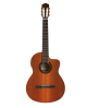 Cordoba C5-CE Iberia Series Nylon-String Acoustic/Electric Guitar (High Gloss)