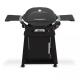 Weber - Q 2800N+ liquid Propane Gas Grill With Stand - Charcoal Grey