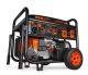 14,500-Watt Electric Switch Gasoline Propane and Natural Gas Tri-Fuel Portable Generator