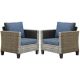 OVIOS New Vultros Gray 2-Piece Wicker Outdoor Lounge Chair with Blue Cushions