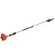 ECHO 10 in. 21.2 cc Gas 2-Stroke Cycle Pole Saw