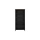 Home Decorators Collection 68.8-inch Black/Walnut Wood 5-shelf Standard Bookcase w/ Adjustable Shelves