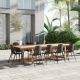 Amazonia Fiji 11-Piece Eucalyptus Wood and Resin Patio Rectangular Outdoors Dining Table Set Ideal for, with Teak Finish, Brown