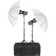 Impact Two Monolight Kit w/ Case (120VAC)