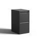 Damodpoy 17.72 in. W 2-Drawer Metal Mobile Vertical File Cabinet, Tool Case with Lock, Black Filing Cabinets, Portable Tool Boxes