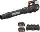 WORX - WG582 40V 780CFM 190MPH Blower - Black