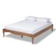Baxton Studio Marieke Ash walnut Queen Bed Frame 159-9808-HD