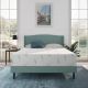 NapQueen Anula Queen Medium Green Tea Memory Foam 12 in. Mattress NQMG12QQ