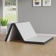 Furniture of America Bexa Queen Medium Firm Memory Foam Topper 3 in Folding Mattress 004L-MT016-Q