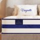 Vesgantti Tight Top Series Twin Medium Hybrid 12 in. Bed-in-a-Box Mattress JJC0167BAT