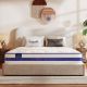 Vesgantti Tight Top Series Queen Medium Hybrid 10 in. Bed-in-a-Box Mattress JJC0166BAQKN