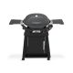 Weber Q 2800N+ 2-Burner Liquid Propane Grill in Grey with Stand 1500393