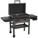 Blackstone 2-Burner Propane Outdoor Griddle with Hood in Black
