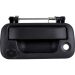 iBEAM - Tailgate Handle Back Up Camera - Black (TE-FTGC)